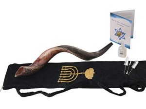 Yaliland Shofar Horn Musical Instrument - Kosher Kudu Ram Horns من إسرائيل - تتضمن حقيبة ، دليل كتب ، بخاخ مضاد للرائحة ، 3 فرش - تستخدم للاحتفالات الدينية - 24 "-26" ، نصف مصقول ونصف طبيعي