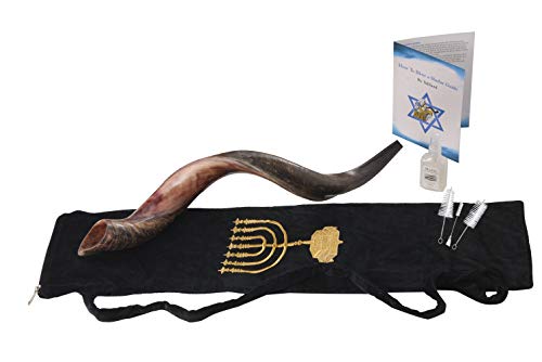 Yaliland Shofar Horn Musical Instrument - Kosher Kudu Ram Horns من إسرائيل - تتضمن حقيبة ، دليل كتب ، بخاخ مضاد للرائحة ، 3 فرش - تستخدم للاحتفالات الدينية - 24 "-26" ، نصف مصقول ونصف طبيعي Yaliland Shofar Horn Musical Instrument - Kosher Kudu Ram Horns من إسرائيل - تتضمن حقيبة ، دليل كتب ، بخاخ مضاد للرائحة ، 3 فرش - تستخدم للاحتفالات الدينية - 24 "-26" ، نصف مصقول ونصف طبيعي