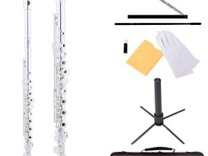 Mendini By Cecilio Flutes - فلوت مفتوح بفتحة C للمبتدئين ، فلوت مكون من 16 مفتاحًا مع حافظة ، وحامل ، وكتاب درس ، ومجموعة تنظيف ، وآلة موسيقية للأطفال ، وفلوت فضي مفتوح