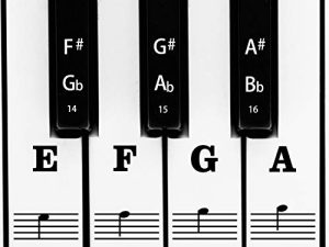 AIEX Piano Keyboard Music Note مجموعة كاملة من الملصقات القابلة للإزالة وشفافة للأبيض والأسود 88/61/54/49 مفاتيح