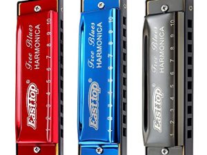 مجموعة هارمونيكا إيست توب مكونة من 3،10 ثقوب بلوز هارب دياتونيك ماوث أورغن هارمونيكا مع 3 مفاتيح ، A ، C ، G للكبار ، لاعب الفرقة والطلاب ، كهدية